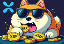 Dogecoin (DOGE) Poised to Permanently Flip XRP!